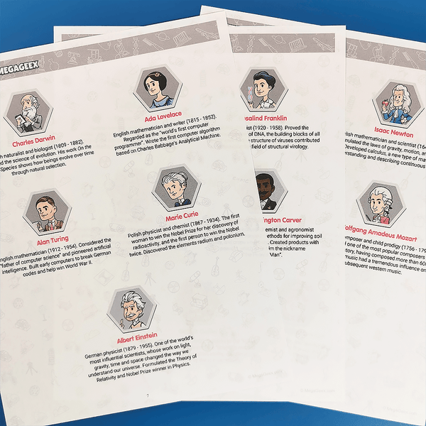 Multiplications Fun Practice Printable Activity Book {professional}